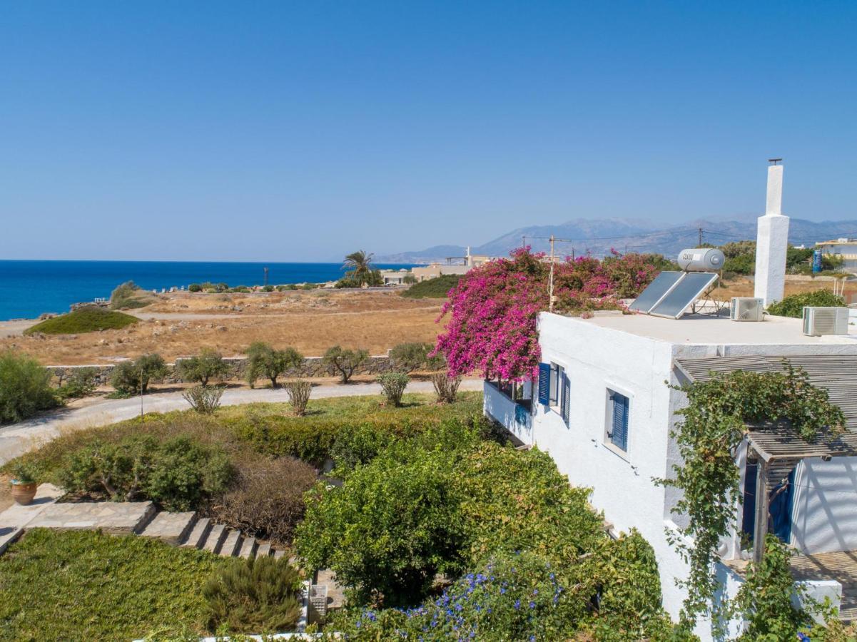 לרפטרה Margarita Apartments מראה חיצוני תמונה